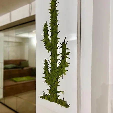 Coliving Napoleon Iii * Ajaccio