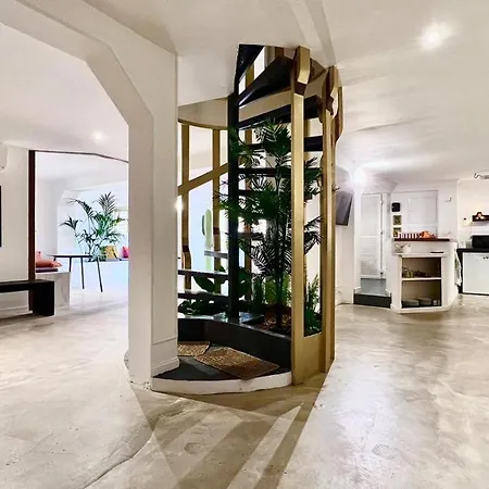 Coliving Napoleon Iii * 아작시오